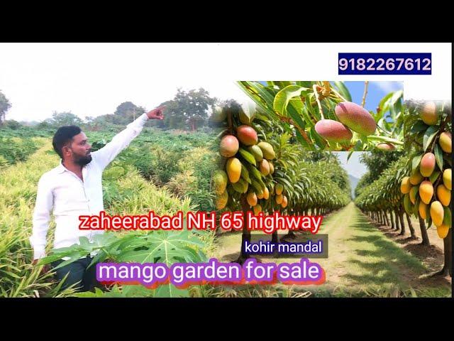 10#acer #mango garden #farm house land for sale #patancheru #nh65 #sangareddy #zaheerabad#fromhouse