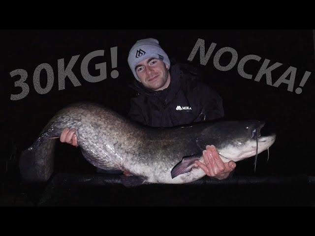 CATFISH OF A LIFETIME! FIRST NIGHT OF THE SEASON AT THE OLEŚNIKOWA DOLINA FISHING PLACE!