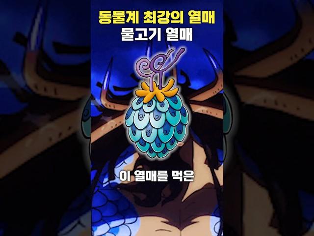 동물계 최강의 열매, 물고기 열매 #원피스