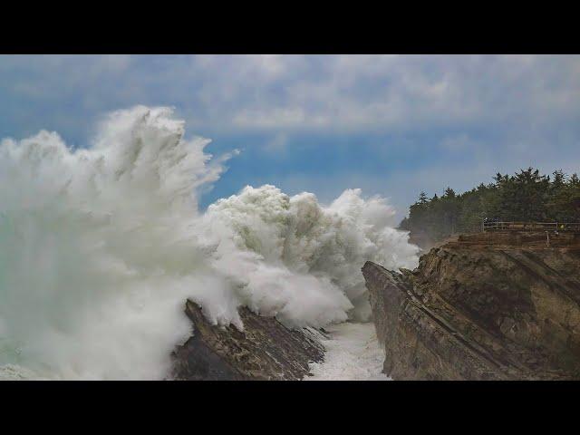 Pacific Storms that Hit California Also Battered Shore Acres State Park, Oregon