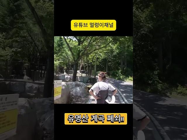 유명산에 계곡물이 없어요 캠핑카 야영장 240614