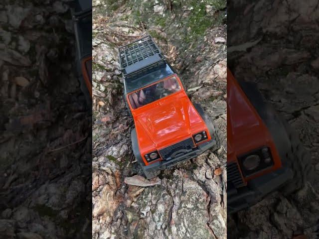 TRX4M crawling through steep spots #traxxasracing #ytshorts #foryou #rtr #mini #tree #roots #funny