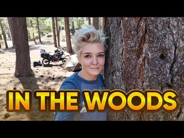 Unplug and Camp in The Wild. California Dreamin' - EP. 286