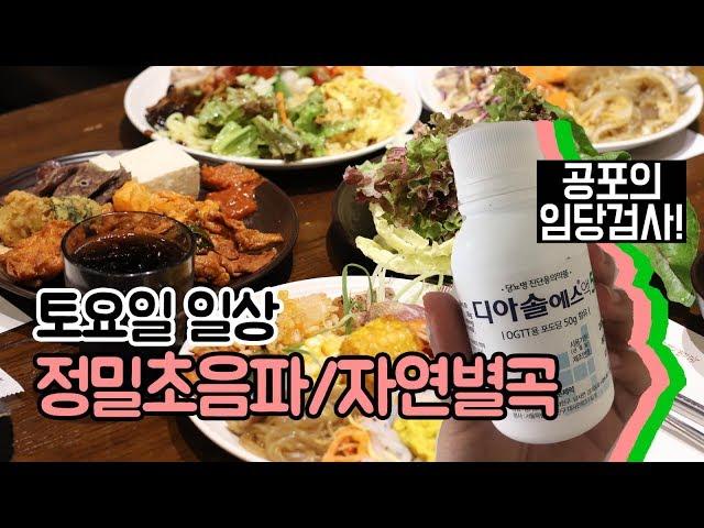 [일상브이로그] 어느 평범한 주말 : 봄여성병원 / 정밀초음파 / 임당검사 / 자연별곡