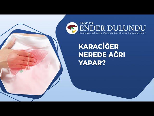 Karaciğer nerede ağrı yapar? I Prof  Dr  Ender Dulundu