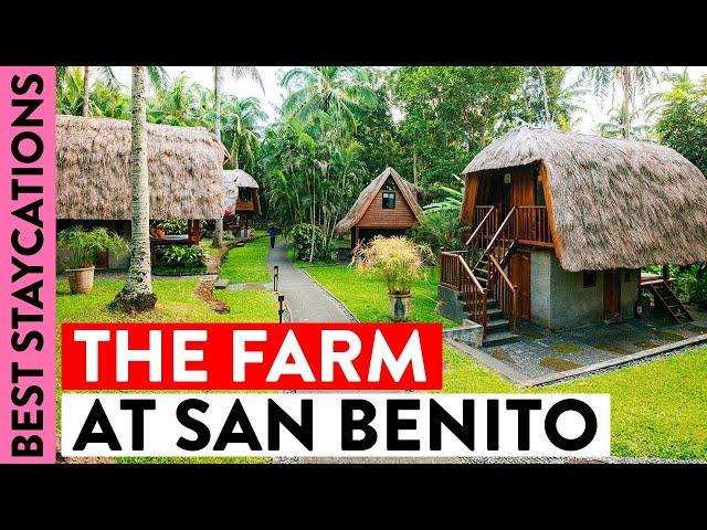 Inside the Luxury Suites & Villas at The Farm at San Benito | Amazing Staycations | OG