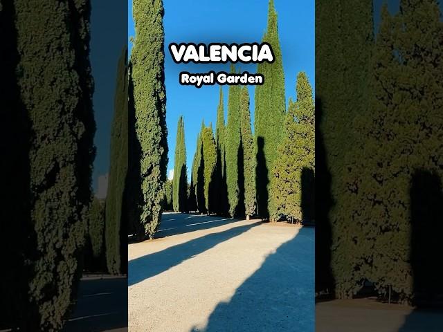 Found peace in the middle of Valencia  #spain #park #travel #tips