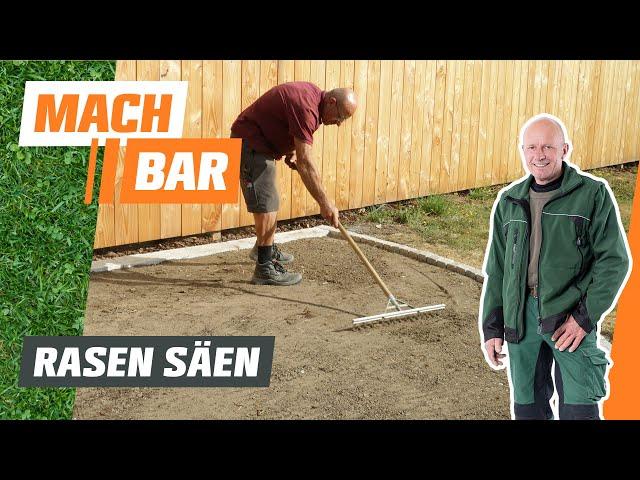 Rasen säen: Vor- und Nachbereitung | OBI