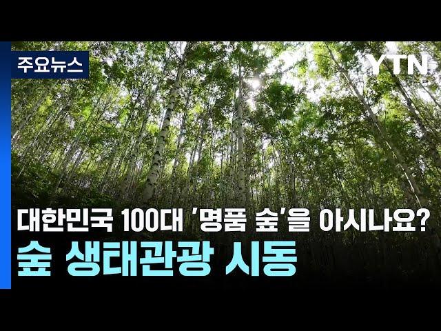 대한민국 100대 '명품 숲'을 아시나요?...숲 생태관광 시동 / YTN