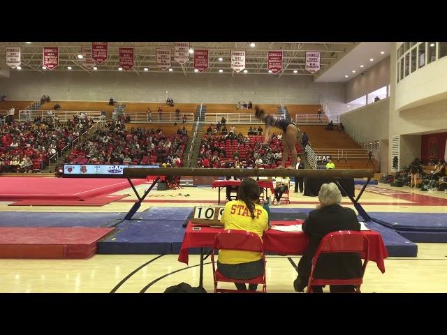 Natalie Yang, Beam - 9.85 (@ ECAC Championships March 23, 2019)