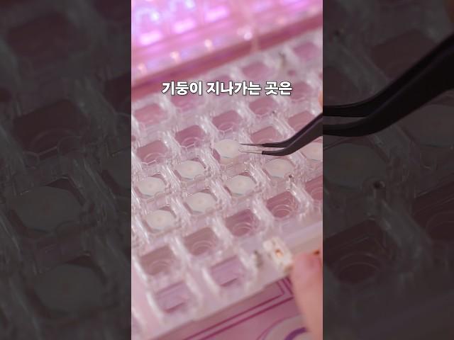 무접점 키보드 분해해서 와구와구 윤활해주기⌨️ 앱코 kn 35bt #무접점키보드 #keyboard #keycaps