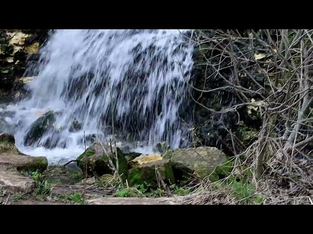 В деревне Паника, Торжокского района, Тверской области водопад снова "побежал"