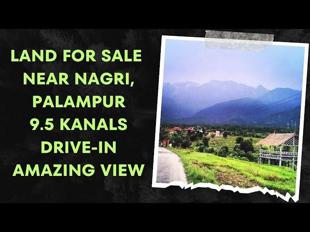 Land for sale in nagri, #palampur #propertyforsale #travel #land #sale #realestate #lease #property