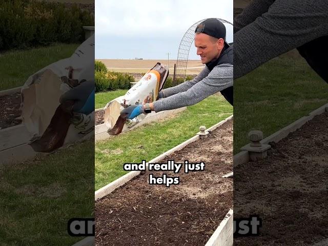 Fertilizing a Raised Garden Bed  || Wyse Guide