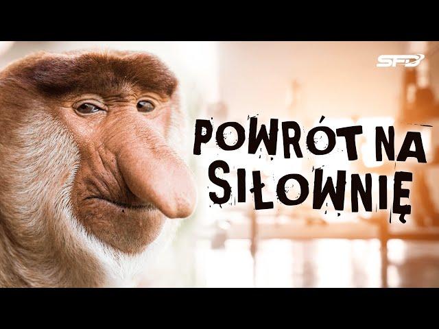 Janusz na siłowni 3 - Powrót na siłownię - SFD Comedy