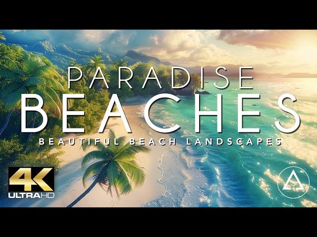 PARADISE BEACHES IN 4K DRONE FOOTAGE (ULTRA HD) - Beautiful Beach Landscapes Footage UHD