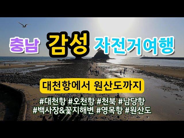 대천항에서 원산도까지, 충남 해안선 자전거 대장정