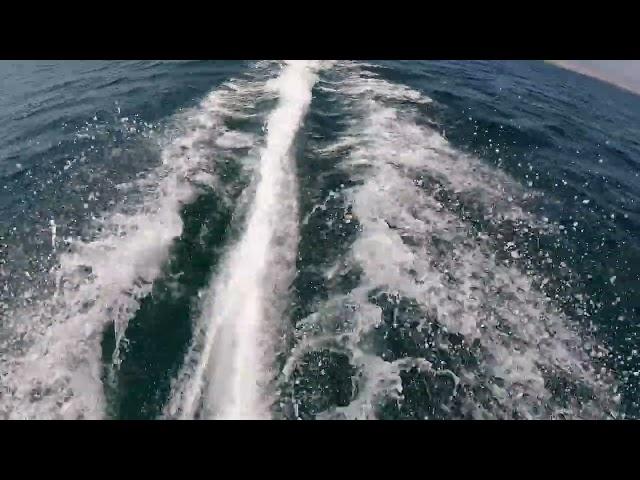 Tiron electric jetboard -- Croatia -- Vir