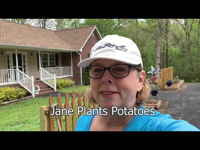 #75 Jane Plants Potatoes