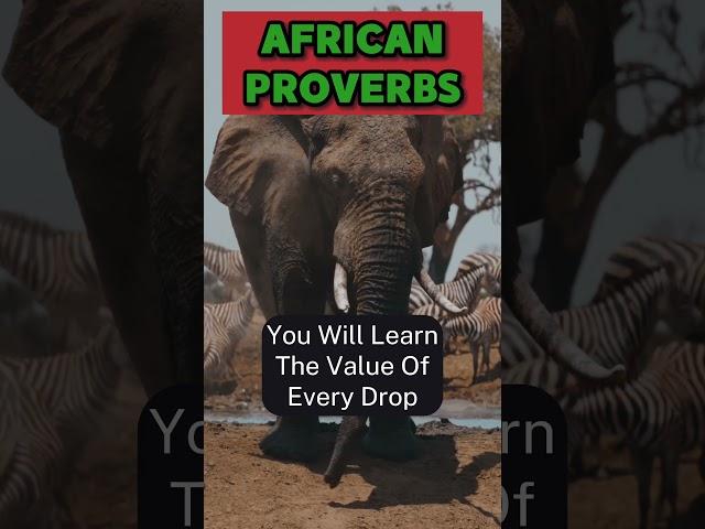 African Proverbs: Wisdom Through The Ages #blackculture #changingthenarrative #shorts