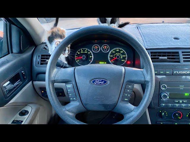 2009 Ford Fusion SE ASMR RELAXING POV TEST DRIVE +{POV KITTYS}