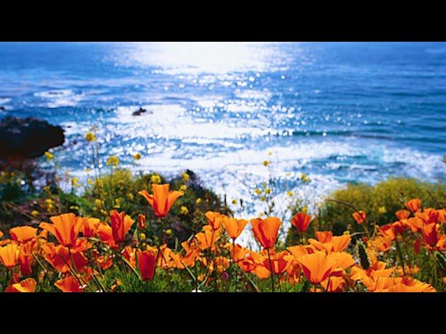 Beautiful Relaxing Hymns, Peaceful Instrumental Music, "Big Sur  Morning Sunrise" by Tim Janis