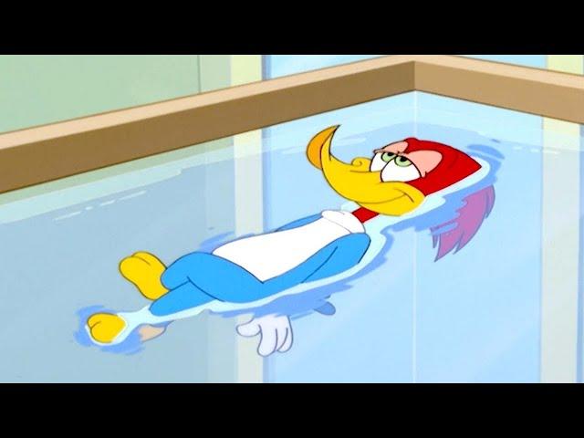 Woody Woodpecker | Woody melts in the heat