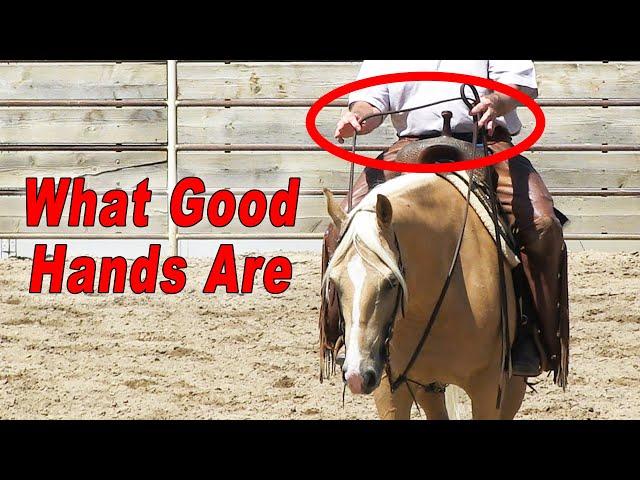 What Good Hands Are and What They Are Not - Horse Training Basics For Performance Horse Riders