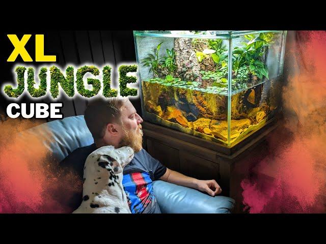 How I created an EPIC flooded forest aquarium! Aquascape tutorial.