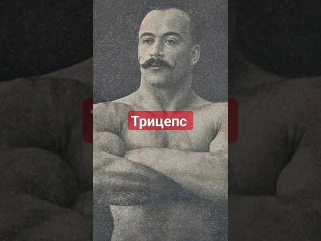 Так качали трицепсы 100 лет назад