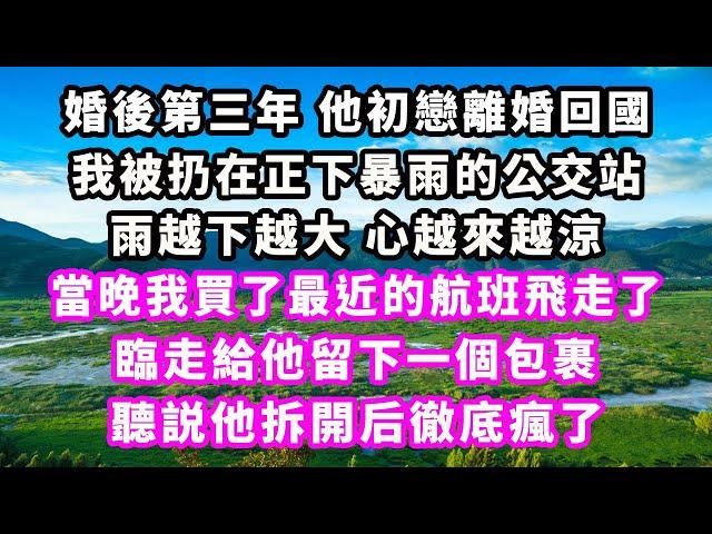 婚後第三年他初戀離婚回國，我被扔在正下暴雨的公交站，雨越下越大心越來越涼，當晚我買了最近的航班飛走了，臨走給他留下一個包裹，聽説他拆開后徹底瘋了#爽文完結#一口氣看完#小三#豪門#霸總