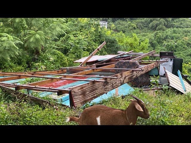 TROPICAL STORM NOW IN JAMAICA  MAN HOUSE BLOW DOWN!! ( MUST WATCH‼️)