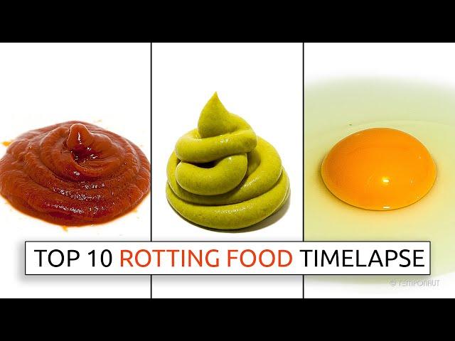 Top 10 Rotting Food Timelapses