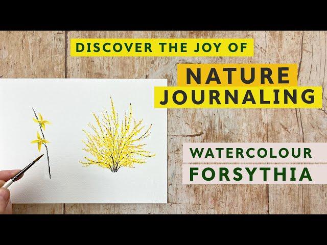 Discover the Joy of Nature Journaling | Paint Watercolour Forsythia