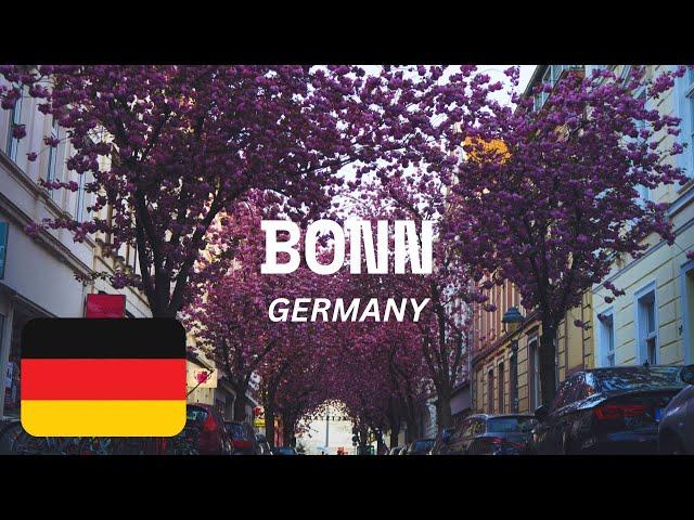 BONN, GERMANY: A HISTORICAL GEM ON THE RHINE - Travel Guide And things To Do #bonn