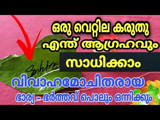 വെറും 2 വെറ്റിലയിൽ പിണക്കം മാറി 21 ദിവസത്തിനുള്ളിൽ വീണ്ടും ഒന്നിക്കും വിവാഹമോചിതരായവർ വരെ VASYAM