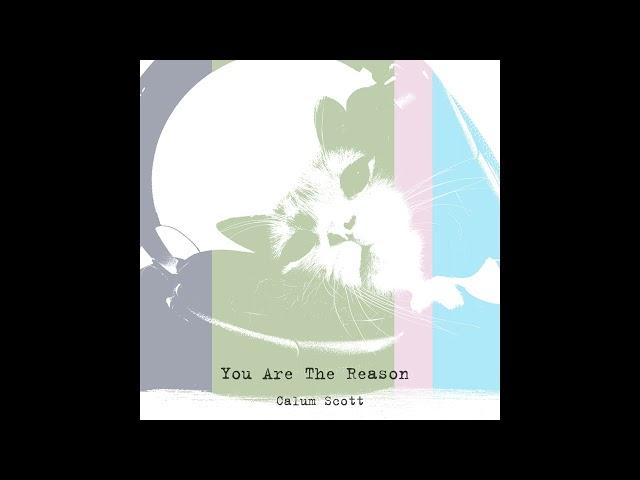 《You Are The Reason》Saxophone Version