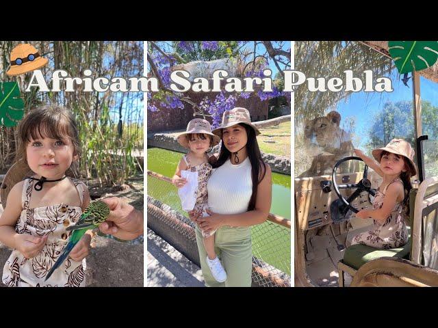 Visitamos Africam Safari en Puebla  (Video grabado en 2023)