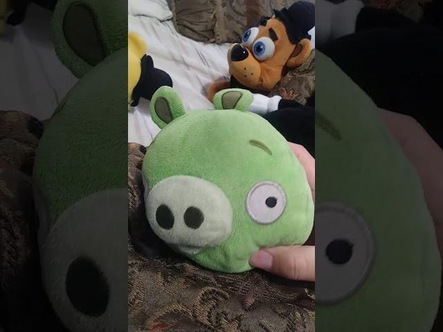 Piggy answer questions