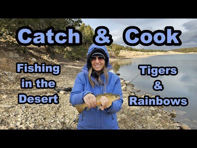 Fishing in the Utah Desert? A Catch & Cook Fishing Adventure. #troutfishing #utahfishing #fishing