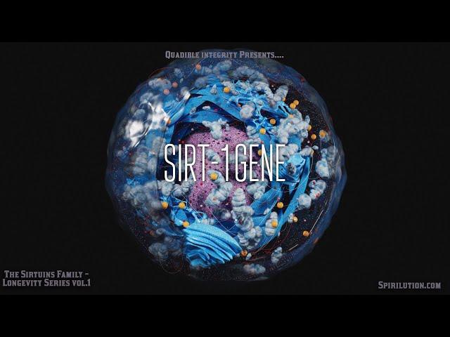 [Longevity Music Series Vol.]  SIRT-1 Gene Activation (The Sirtuins Family)