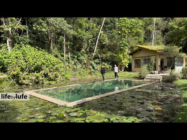 UNBELIEVABLE KITCHEN! MOUNTAIN HOUSE WITH AMAZING HIDDEN GEMS. HUGE GARDEN LOOKS LIKE PARADISE!