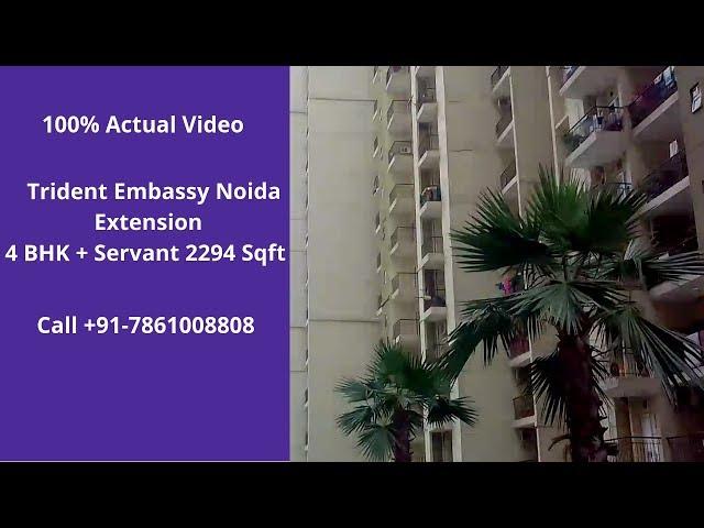 Trident Embassy | ️7861008808 | 4 BHK Flat for Sale in Noida Extension | 2294 Sqft | Price90 Lacs