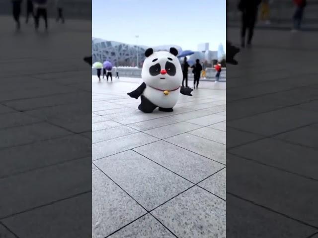 Panda dance