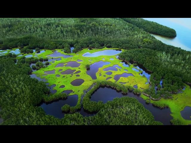 3 Hours Of Magical African Landscapes To Fall Asleep To