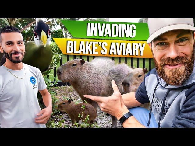 Kenan Invades Blake's Aviary!