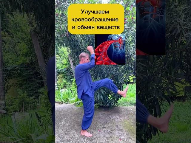 Упражнение для конечностей и гибкости суставов #зож #упражнения