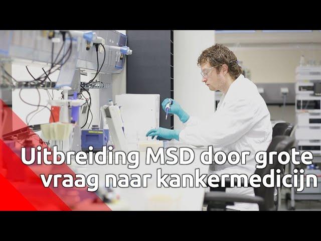 MSD gaat productie kankermedicijnen opvoeren: miljoeneninvestering in Oss