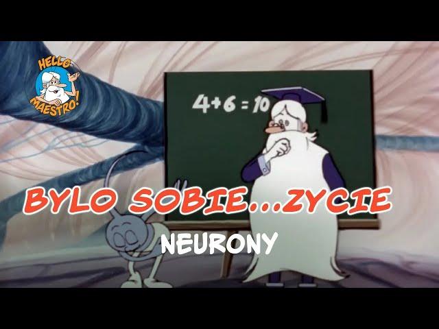 Bylo Sobie... Zycie  - Neurony 