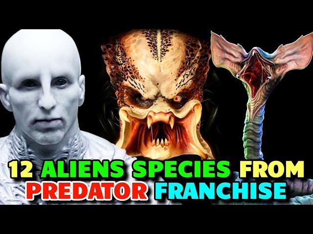 12 Extremely Terrifying Alien Species from Predator Universe - Explored